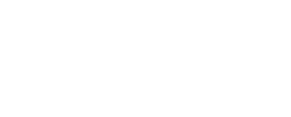VEM